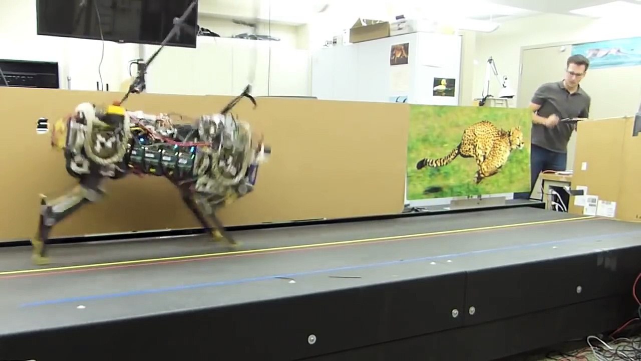 10 Amazing Robots That Really Exist
