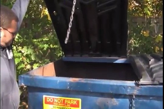 Raccoon Removal Service - Animal and Pest Removal Services - Pro-Pest.ca