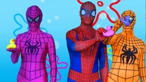 Spiderman Nemo Finger Family | Finger Family Nursery Rhyme For Kids | Superheroes Songs for Kids