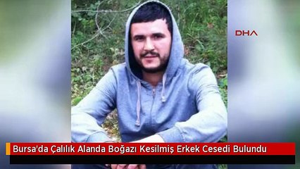Bursa'da Çalılık Alanda Boğazı Kesilmiş Erkek Cesedi Bulundu