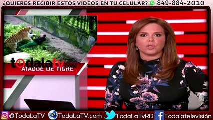 Momento en el que un tigre mata a su cuidadora-Al Rojo Vivo-Video