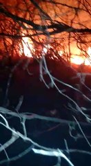 Incêndio em mata na Região de Cajazeiras