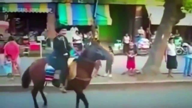 Os ataque de animais selvagens Pessoas sendo atacada por animais