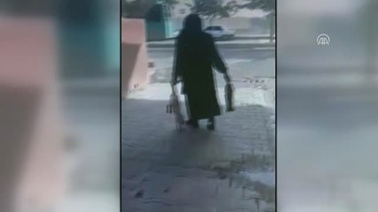 Şanlıurfa'da Zehirlenen Kedilerin Çöpe Atıldığı İddiası
