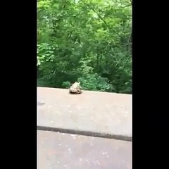 This is what depression does to you. (with music)