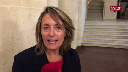 Sophie Primas estime que la culture  peut-être "un pivot central" de LR pour repartir