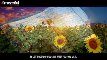 Blessed Be Your Efforts