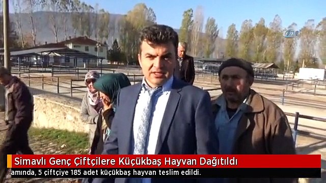 Simavlı Genç Çiftçilere Küçükbaş Hayvan Dağıtıldı