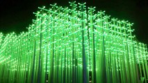 Why There's A Beer Bottle Forest Lighting Up China