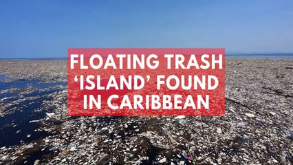Floating trash 'island' spotted in Caribbean Sea