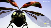 Introducing INSECTS, an Interactive Ultra HD 4K, HDR Experience on Xbox One X (2017)