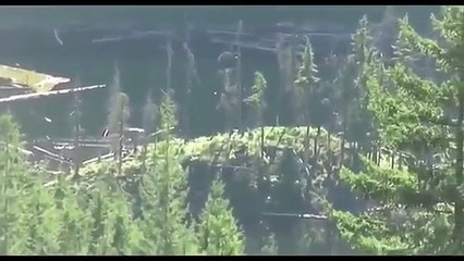 Μεγαλοπόδαρος on camera σε δάσος του Καναδά!!