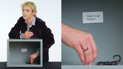 Ross Lynch Touches a Scorpion, Hissing Cockroach & Other Weird Stuff