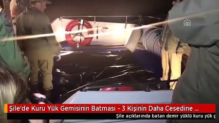 下载视频: Şile'de Kuru Yük Gemisinin Batması - 3 Kişinin Daha Cesedine Ulaşıldı - İstanbul