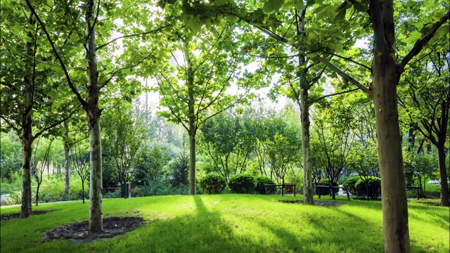 Irrigation Doctor - (704) 305-0473