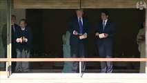 Trump and Abe dump fish food into precious koi pond 2018