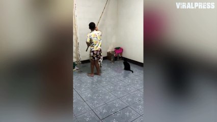 Woman Screams In Fright When Lizard Drops From Wall