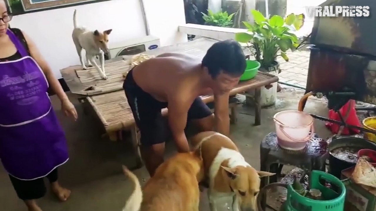 Woman Called Police After Catching Man Abusing Her Dog