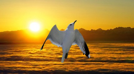 ORGAN MUSIC (C. Franck, Choral Nr. 1) ★ kostenlos free download music