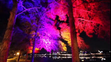 Exclusive preview of Christmas Drone Aerial show rehearsal at Disney Springs