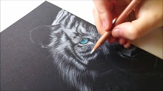 How to draw white fur on black paper-colored pencil | Leontine van vliet