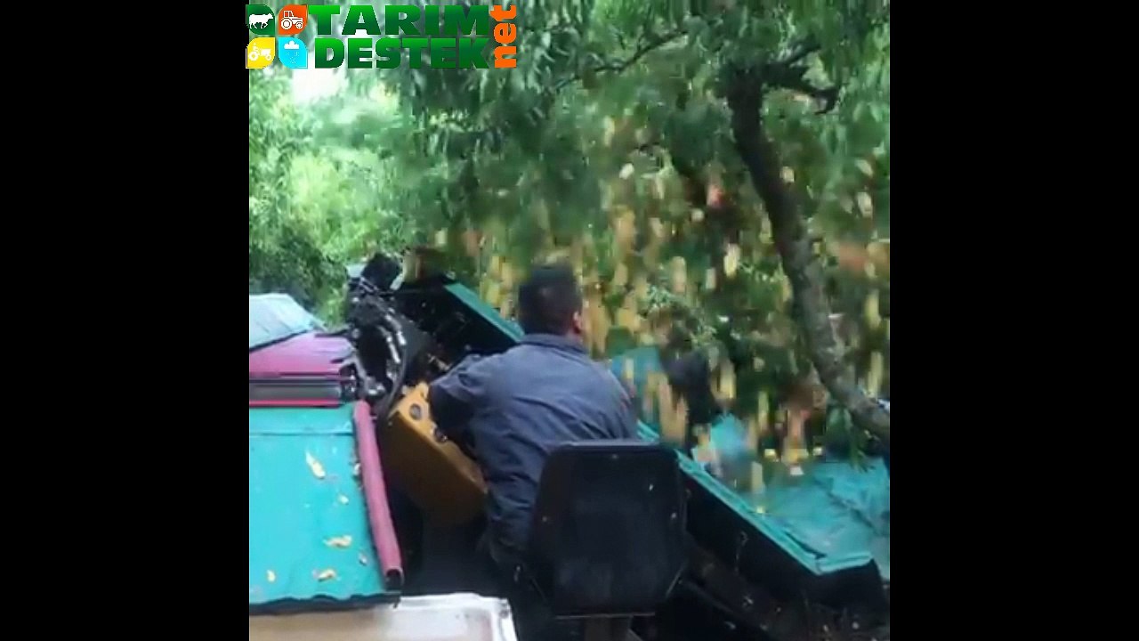 Şeftali Hasat Makinesi