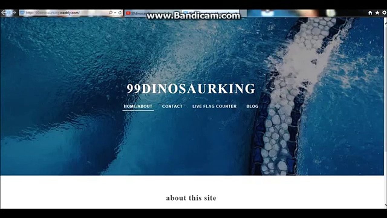 5,000 subs! fantastic!