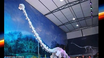 Amazing! - Dragon Found Frozen in Romanian Mountain Cave! (True Story -Overcome)