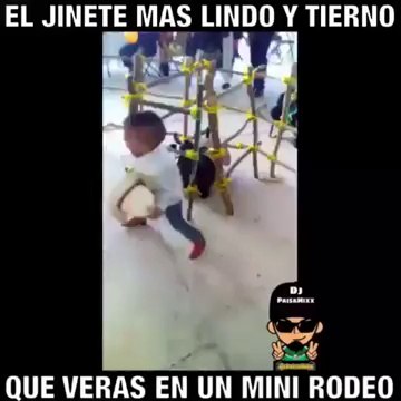 El Jinete más lindo y tierno que verás en un Mini Rodeo