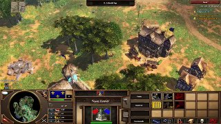 [M91] Age of Empires 3 - French vs. British