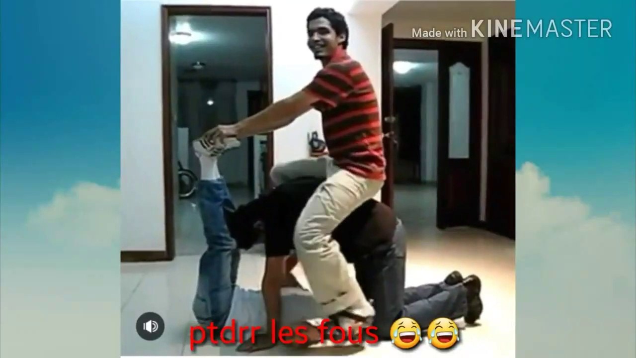 cette vidéo a fait ma journée
