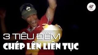 câu đêm lên cá chép liên tục