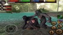 Ultimate Jungle Simulator - Chimpanzee : Raise a Family - Android/iOS - Gameplay Episode 4