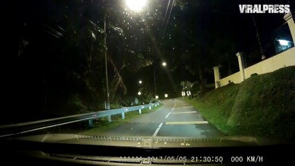 Driver Freaked Out By Ghost Sitting In Road