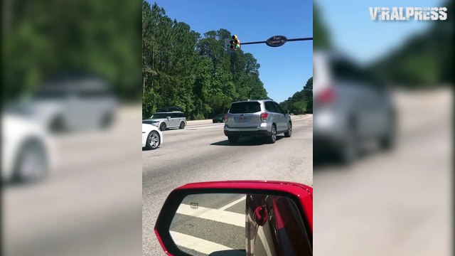 Alligator Stops Traffic As It Crosses The Road
