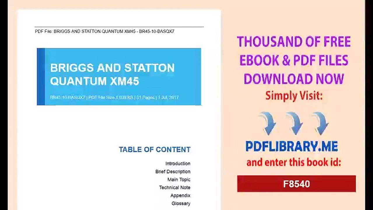 BRIGGS AND STATTON QUANTUM XM45
