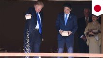 Trump feeds koi, which feeds media anger, which feeds right's outrage