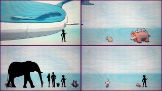 Pokemon Size Comparison (All Pokemon)