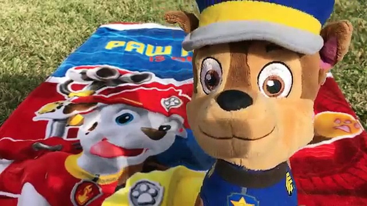 Patrulla canina español SALVA A UN FANTASMA EN LA PISCINA/nuevo capitulo completo paw patrol 97
