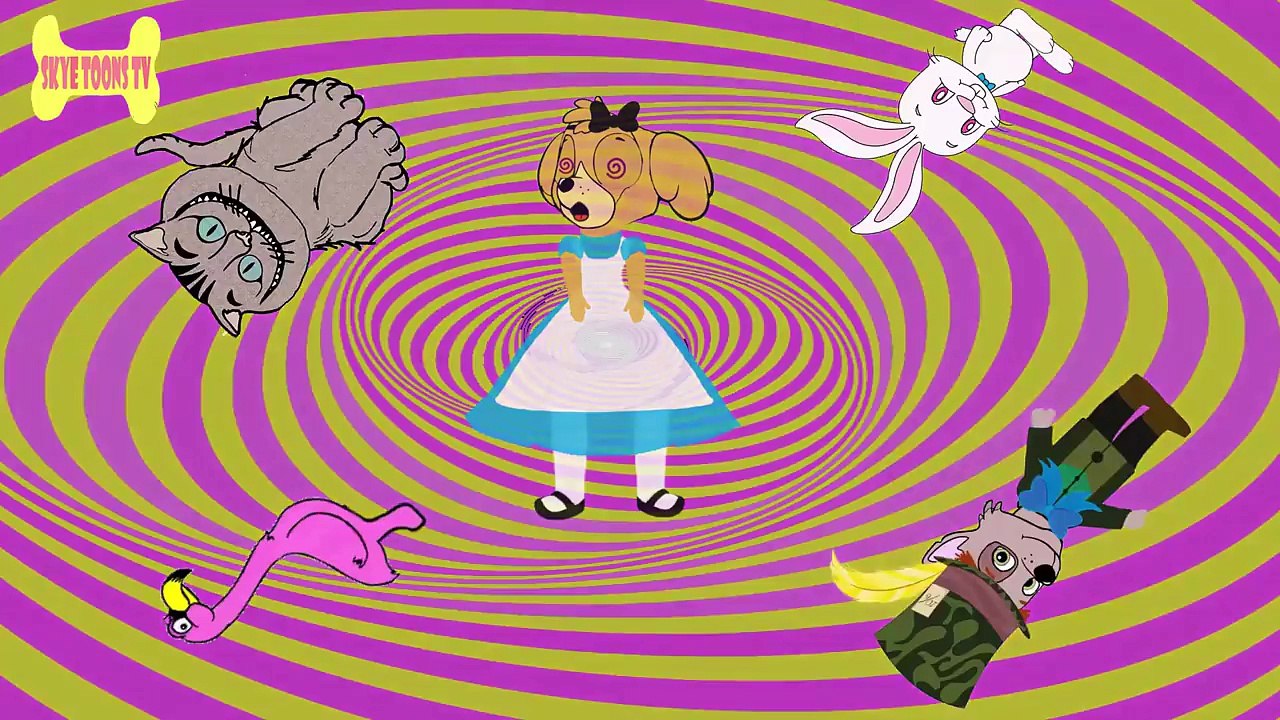 La Patrulla Canina CUENTOS INFANTILES EN ESPAÑOL COMPILACIÓN PRINCESAS DE DISNEY CAPITULOS NUEVOS