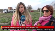 Bursa'da Sokak Hayvanları İçin Kulübe Dağıtıldı