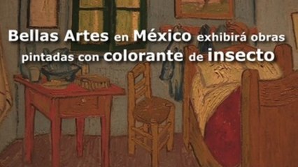Bellas Artes en México exhibirá obras pintadas con colorante de insecto