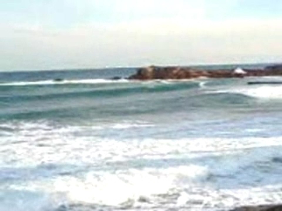 MOV00029
