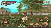 Dog Sim Online - Pug Dogs - Android / iOS - Gameplay part 21
