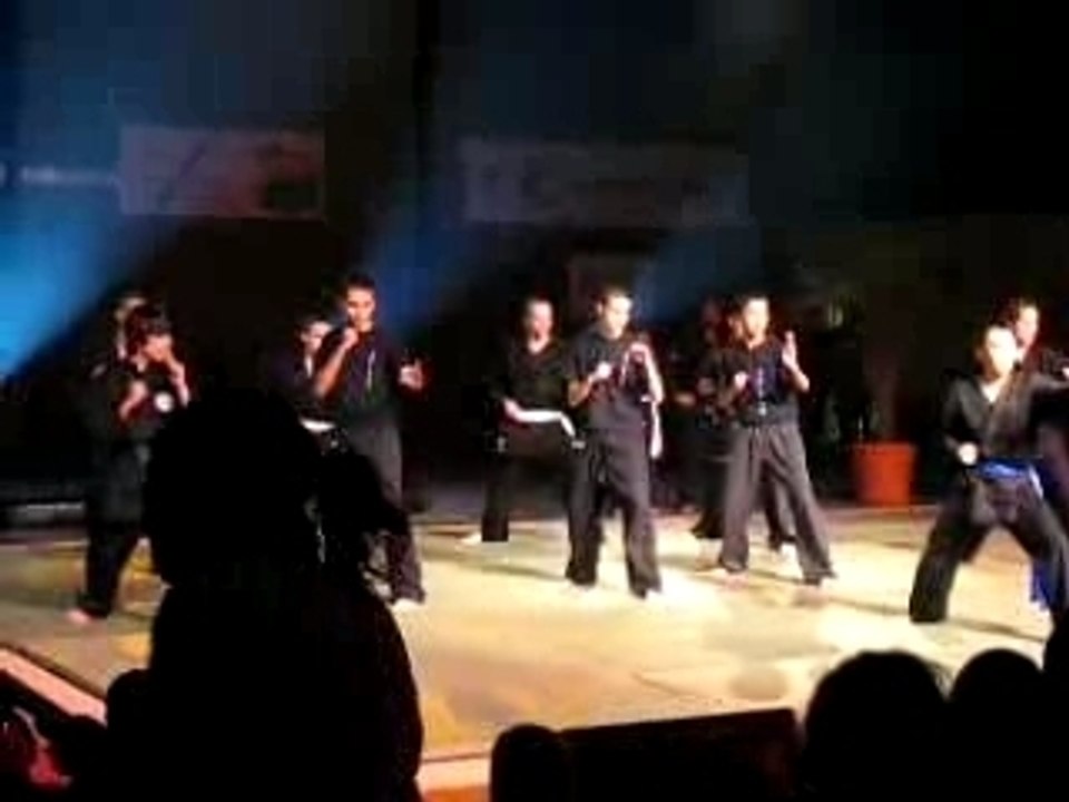 5eme Nuit des Sports Viet vo Dao 2