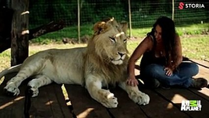 En güzel dostluk: Vahşi hayvanlar ve insanlar