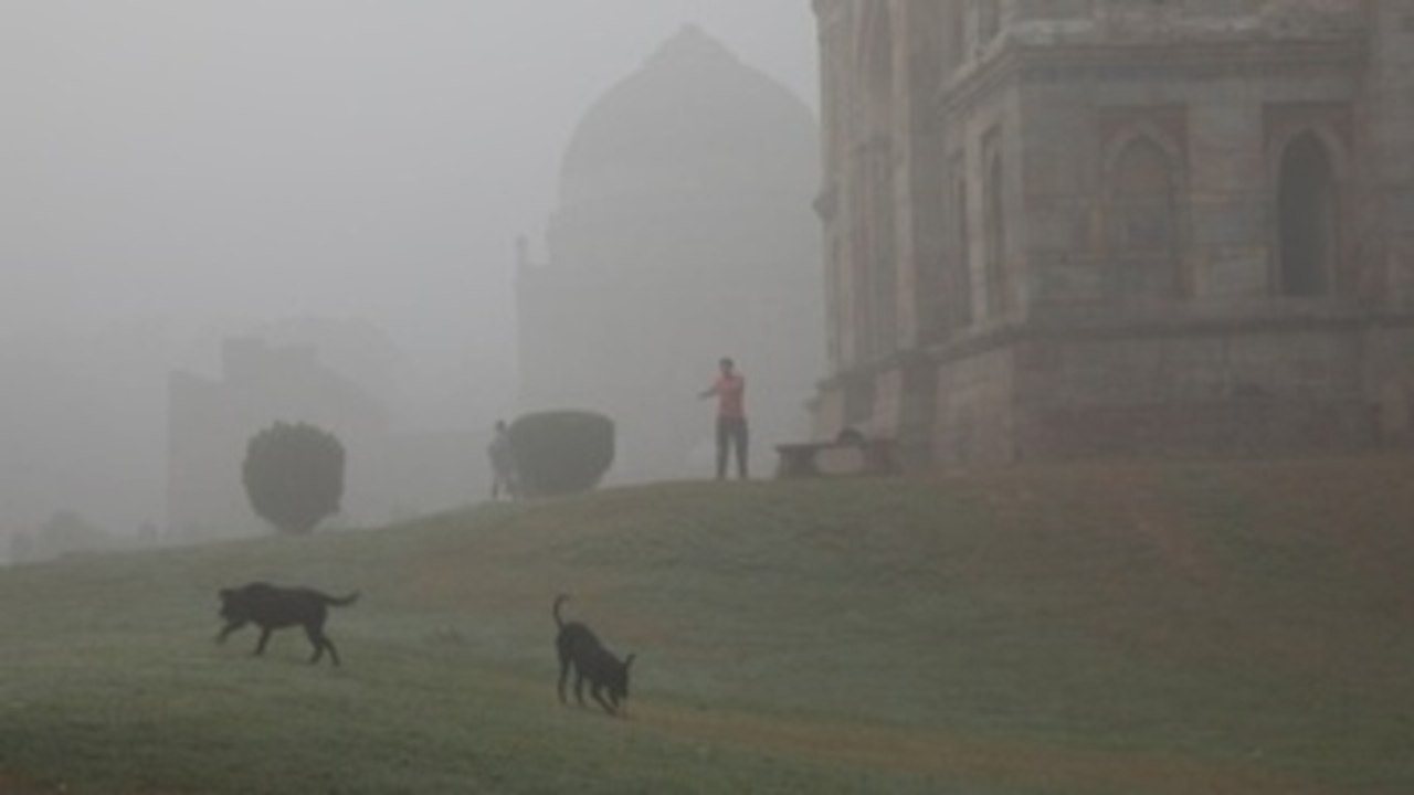 Nueva Delhi se ahoga con niveles de polución disparados