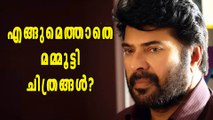 അടുത്ത മമ്മൂട്ടി ചിത്രം എപ്പോള്‍? | filmibeat Malayalam