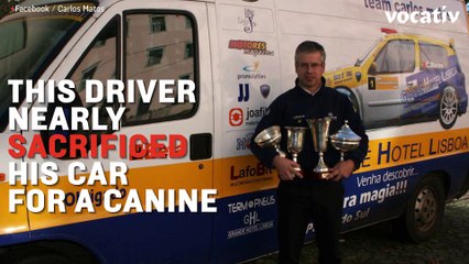 Rallye Car Handbrake Turn Saves Dog's Life