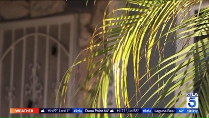 Veteran Says He's Losing Home After Signing Up for Government-Funded Program